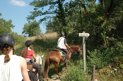 paardrijvakantie (Fijne paarden, lekker eten en een prachtige natuur) foto 4 paardrijvakantie (Fijne paarden, lekker eten en een prachtige natuur) foto 4